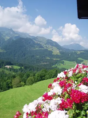 Naturlandschaft in der Nähe der Ferienwohnung