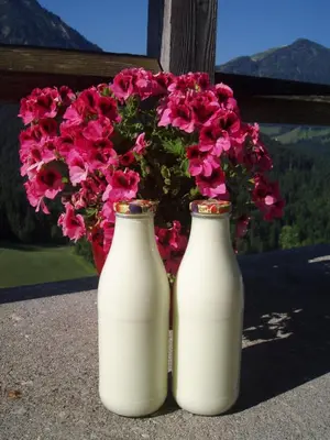 Ein allgemeiner Bergblick oder ein Berglick von der Ferienwohnung aus