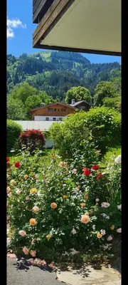 Naturlandschaft in der Nähe des Ferienhauses