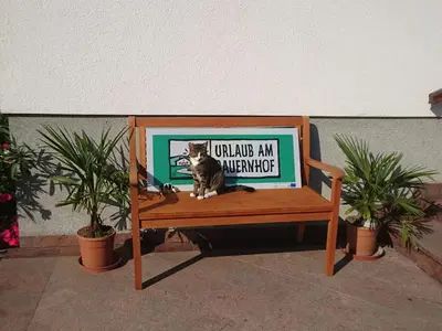 Grundriss der Unterkunft Schleicherhof III