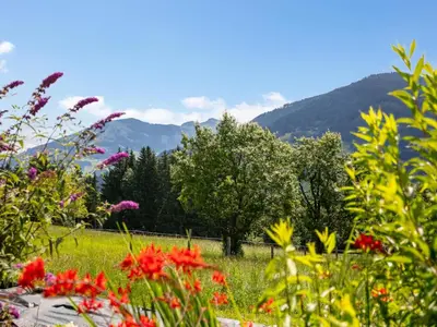 Naturlandschaft in der Nähe des Ferienhauses