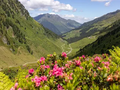 Naturlandschaft in der Nähe des Ferienhauses