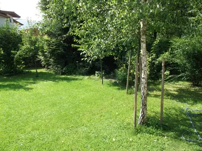 Ein Garten an der Unterkunft Sagzahnblick