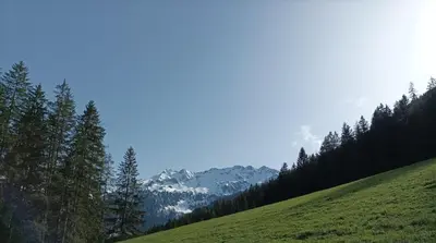 Naturlandschaft in der Nähe der Ferienwohnung