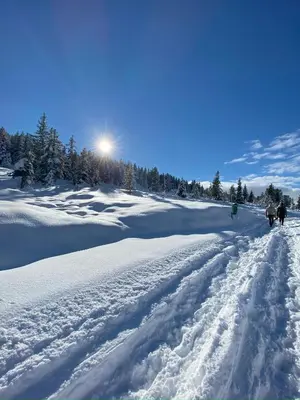 Neuwalder im Winter