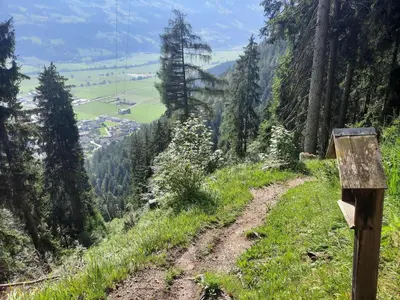 Naturlandschaft in der Nähe der Ferienwohnung