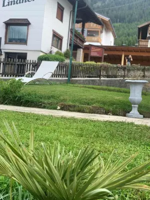 Ein Garten an der Unterkunft Ferienwohnung Bärenblick Achensee
