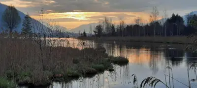 Naturlandschaft in der Nähe der Ferienwohnung
