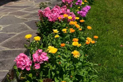 Ein Garten an der Unterkunft Schusterhof