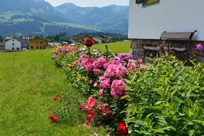 Naturlandschaft in der Nähe des Bauernhofs