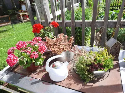 Ein Garten an der Unterkunft Apartment Althaus 1 by Interhome