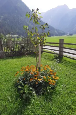 Naturlandschaft in der Nähe der Ferienwohnung