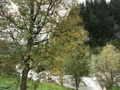 Naturlandschaft in der Nähe der Ferienwohnung