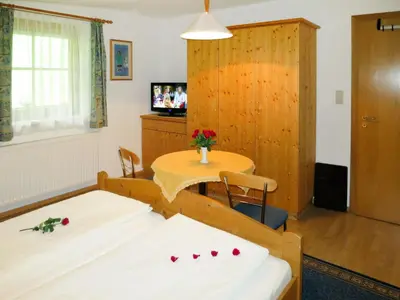 TV/Unterhaltungsangebot in der Unterkunft Apartment Landhaus Heim by Interhome
