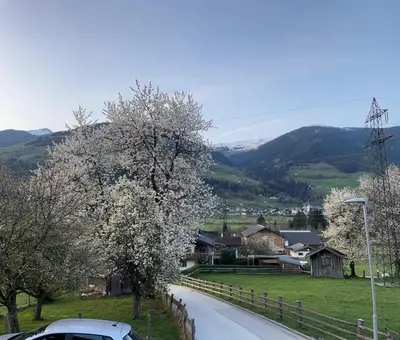 Naturlandschaft in der Nähe der Ferienwohnung