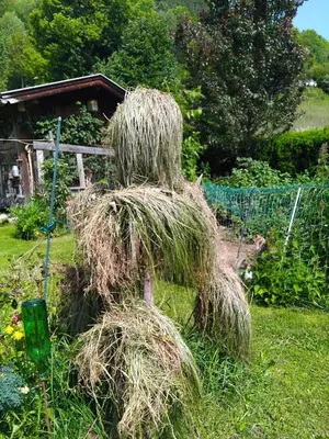Ein Garten an der Unterkunft Fuchs Alm