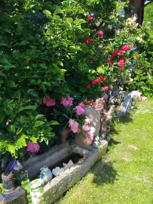 Ein Garten an der Unterkunft Fuchs Alm