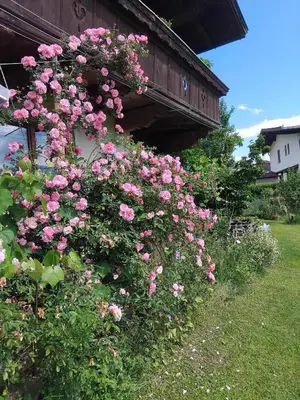 Ein Garten an der Unterkunft Fuchs Alm