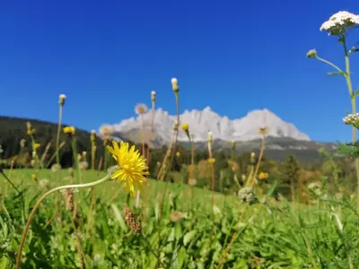 Naturlandschaft in der Nähe der Ferienwohnung