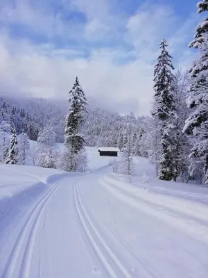 Ferienwohnungen Hautz im Winter