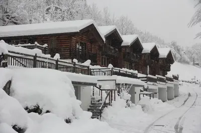 Schöneben Haus Alpenglöckchen im Winter