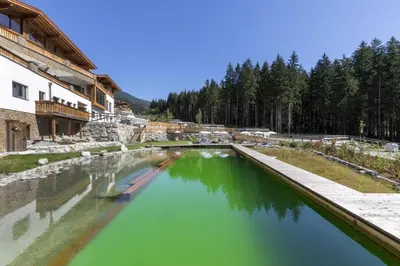 Naturlandschaft in der Nähe des Ferienhauses