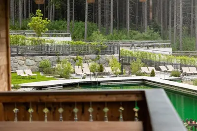Der Swimmingpool an oder in der Nähe von Nationalpark Chalet Blindis