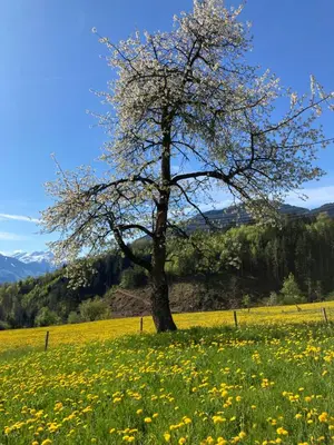 Naturlandschaft in der Nähe der Ferienwohnung