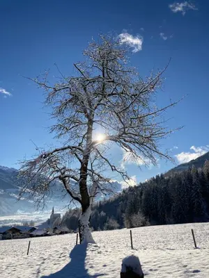 Ferienwohnung im Winter
