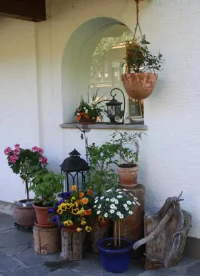 Ein Garten an der Unterkunft Haus Hofer