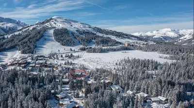 Naturlandschaft in der Nähe des Ferienhauses
