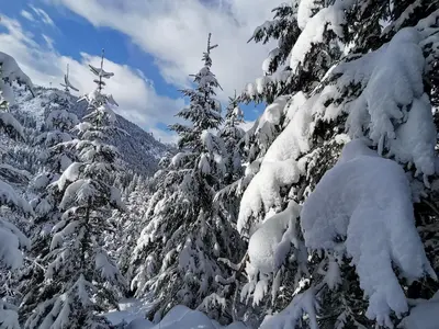 Haus Gruber im Winter