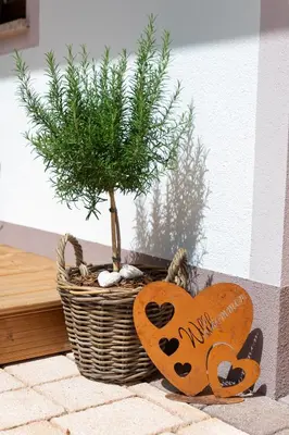Grundriss der Unterkunft Appartement Auszeit