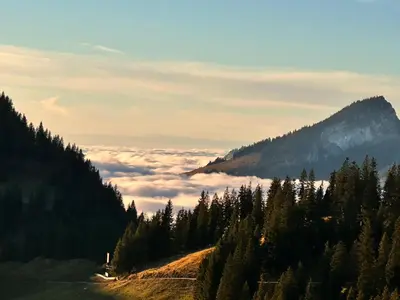 Naturlandschaft in der Nähe der Ferienwohnung