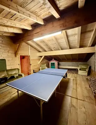 Tischtennis in der Unterkunft Lochner Alm oder in der Nähe