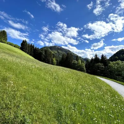 Naturlandschaft in der Nähe der Ferienwohnung