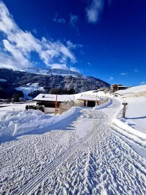 Chalet der Erzstadl im Winter