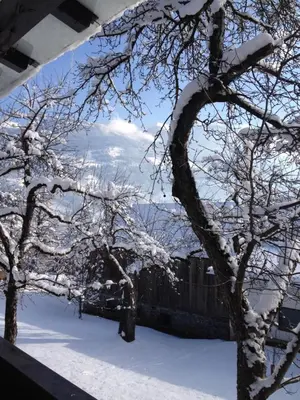 Apartment Renate im Winter