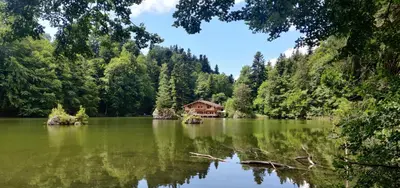 Naturlandschaft in der Nähe der Ferienwohnung