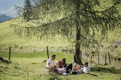 Naturlandschaft in der Nähe des Chalets