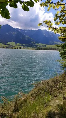 Naturlandschaft in der Nähe der Ferienwohnung