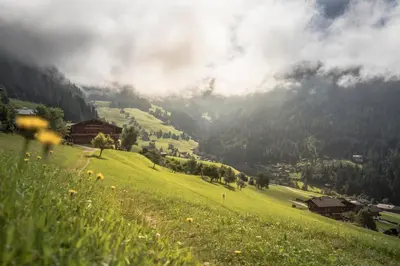 Naturlandschaft in der Nähe der Ferienwohnung