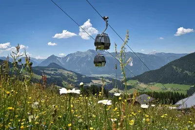 Naturlandschaft in der Nähe der Ferienwohnung