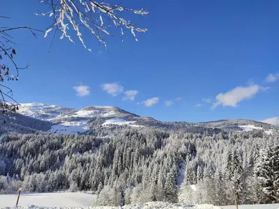 Naturlandschaft in der Nähe des Ferienhauses