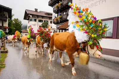 Tiere in der Ferienwohnung oder in der Nähe