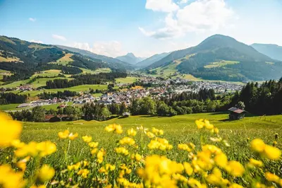 Naturlandschaft in der Nähe der Ferienwohnung