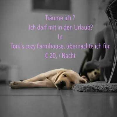 Haustiere von Gästen der Unterkunft ALPIN CHARME APARTMENTS Tonis cozy Boutique Apartment