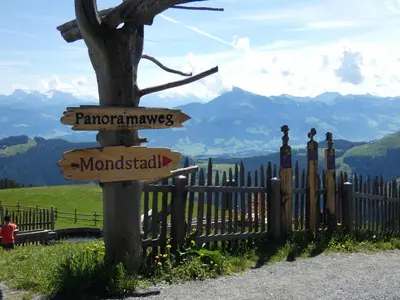Naturlandschaft in der Nähe der Ferienwohnung