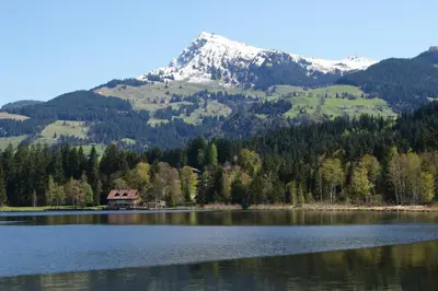 Naturlandschaft in der Nähe der Ferienwohnung