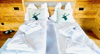 Grundriss der Unterkunft Das Kitz - Chalet Steuerberg Kitzbühel